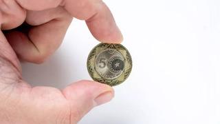 5 TL madeni parada şimdi de 'logo' tartışması: Bu ülke sizin babanızın malı mı?