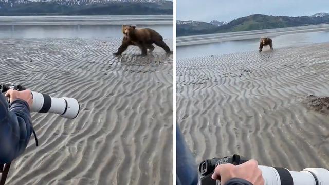 Bir ayıyla karşılaştığınızda ne yapmalısınız? sorusunun cevabını uygulamalı verdi! Koşarak gelen ayıyı böyle uzaklaştırdı