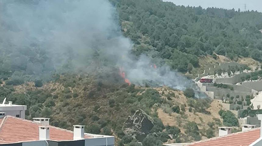 Son dakika | İzmir'de orman yangını! Çok sayıda ekip bölgeye sevk edildi, 1,5 saat sonra kontrol altına alındı