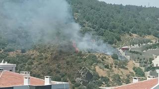 Son dakika | İzmir'de orman yangını! Çok sayıda ekip bölgeye sevk edildi, 1,5 saat sonra kontrol altına alındı