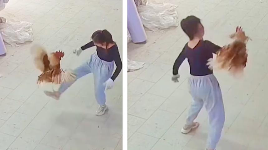 Sosyal medyada infial yaratan skandal g&ouml;r&uuml;nt&uuml;ler! Horozu tekme tokat d&ouml;vd&uuml;... İşkencesinin dozunu arttırıp d&ouml;nd&uuml;re d&ouml;nd&uuml;re yere fırlattı