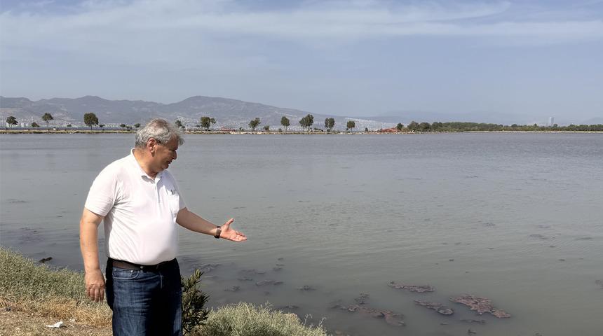 Yer: İzmir! Hem denizin rengi değişti hem de kötü koku yayıldı... İşte sebebi