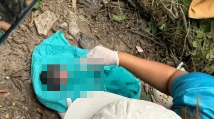 B&ouml;yle canilik g&ouml;r&uuml;lmedi! R&ouml;gar kapağının yanında doğum yapan anne bebeğini kanalizasyona atmak istedi..."Kedi ağlamasına benzer sesler duydum"