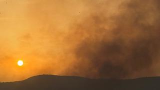 Uşak'ta tarım arazisinde başlayıp ormana sıçrayan yangın kontrol altına alındı