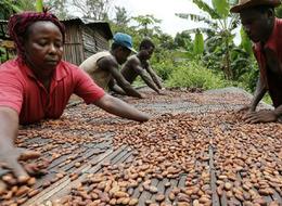 Kakao fiyatlarında sert yükseliş: Yeniden 10 bin dolara dayandı