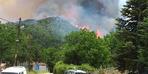 Muğla'da korkutan orman yangını! Çevre ilçelerden de destek istendi