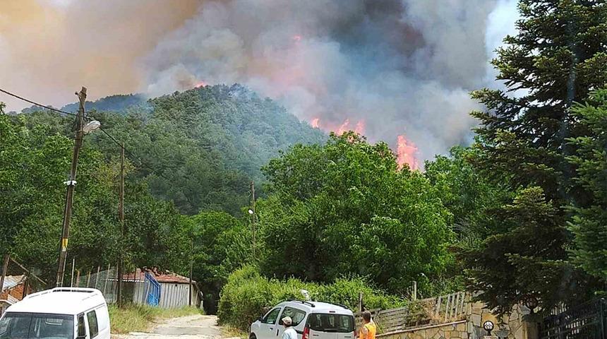 Milas'ta korkutan orman yangını! Çevre ilçelerden de destek istendi; 2 saatte kontrol altına alındı