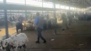 Hayvan pazarında silahlı kavga! 1 ölü, 6 yaralı... Kurbanlık almak için gelmişlerdi