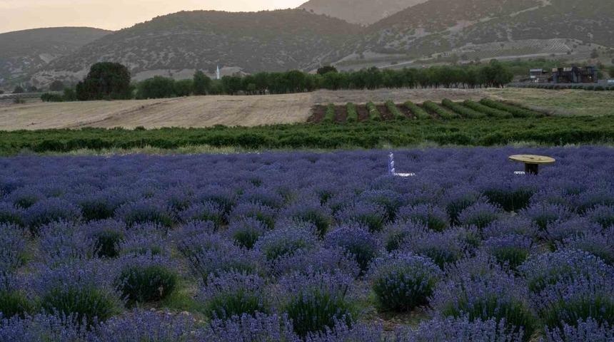 Aşırı sıcaklar onları da etkiledi! Ziyaretçi akını başladı