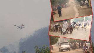 Denizli'de orman yangını! 1 mahalle tahliye edildi: 'Çevre illerden de destek istedik'