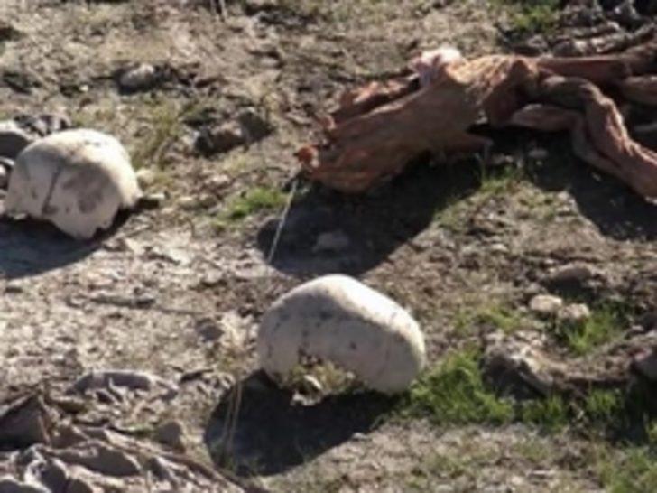 Şengal yakınlarında en az 110 Ezidi'nin gömülü olduğu toplu mezar bulundu