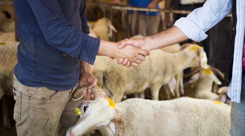 Kurban kesim vakti ne zaman başlar ve biter? Kimler kurban kesmekle yükümlüdür?