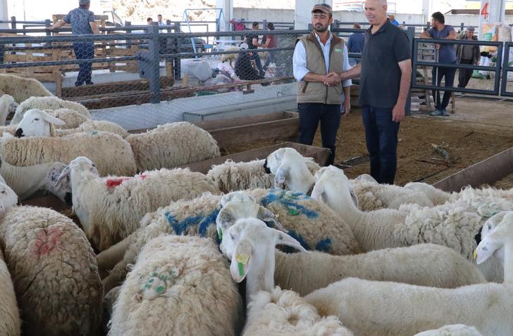 Arife günü kurban pazarları, sessiz sakin kaldı! Üretici mutsuz: Kurbanlıkların sadece 5'te 1'i satıldı