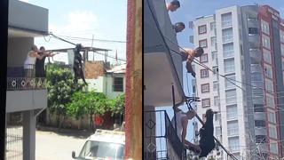 Bayramın en sıra dışı görüntüsü! İnatçı keçi her yolu denedi