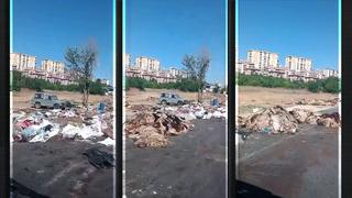 Kurbanları kestiler, artıklarını sokaklara bırakıp gittiler! Gaziantep'te iğrenç görüntüler