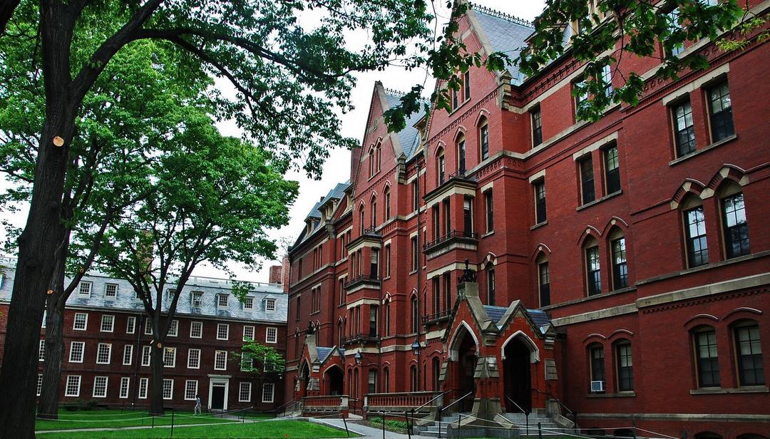 3) Harvard Üniversitesi