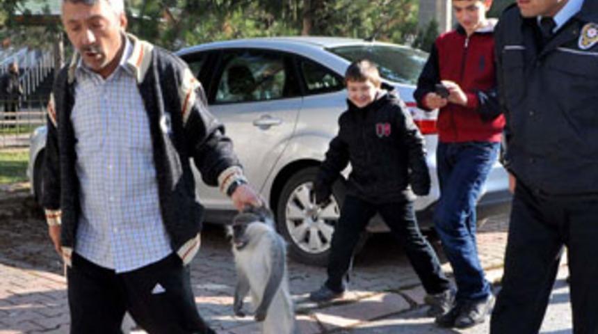 Kayseri'de maymun dehşeti