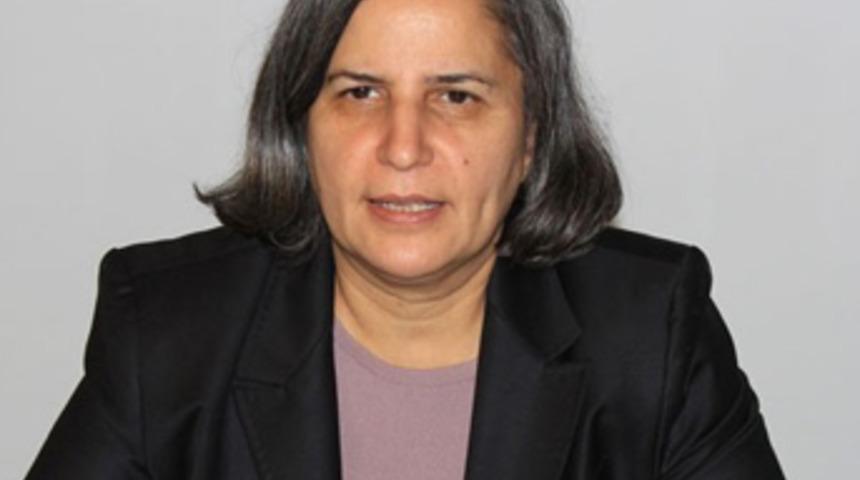 Kışanak: Fezleke siyasi bir operasyon