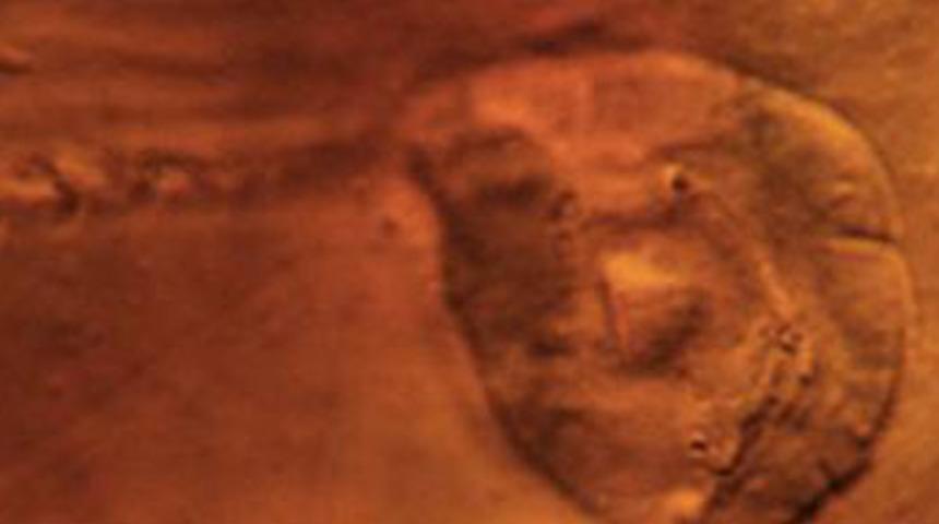 200 milyon yıllık kulu&ccedil;ka