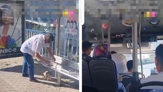 Sosyal medya bu görüntüleri konuşuyor! Otobüs şoförü bir anda durup araçtan indi... Durakta kendisini kendisini bekleyen kediye mama ve su verdi