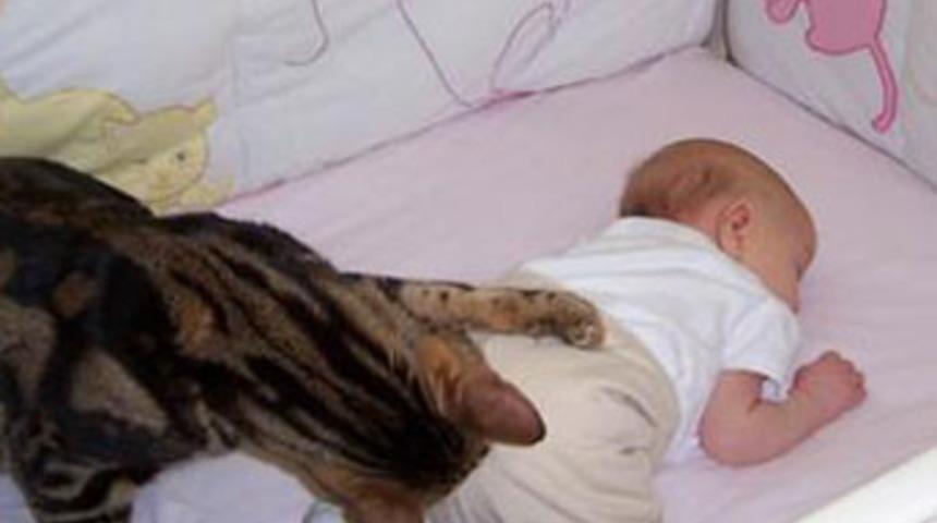 Kedi 2,5 aylık bebeği öldürdü