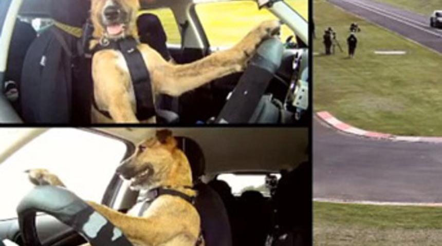 D&uuml;nyada bir ilk!