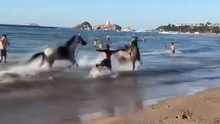 Yer: Şile! Plajda at paniği! Sahiplerinin elinden kaçıp... Yaralananlar var