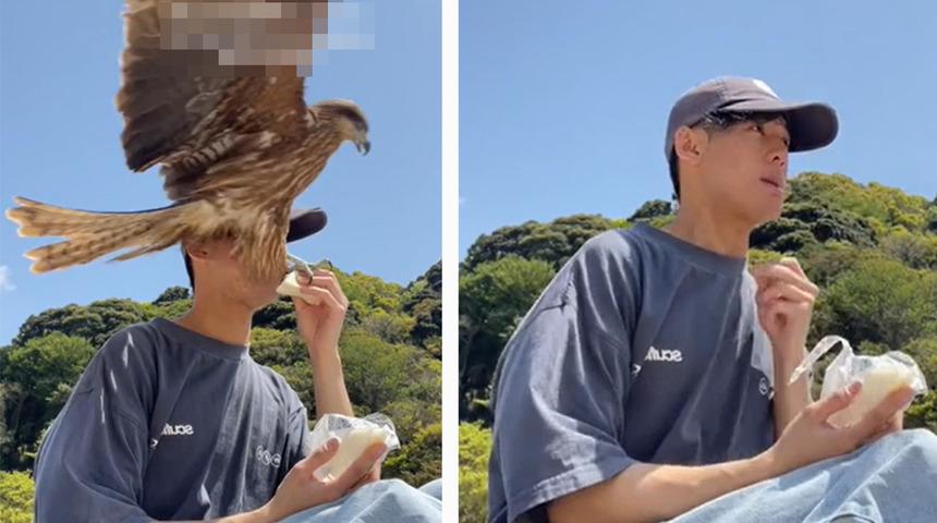 Yemek yerken gelen beklenmedik misafir şaşkına çevirdi! Elindeki sandviçi böyle kaptı... "Yeni fobi yükleniyor"