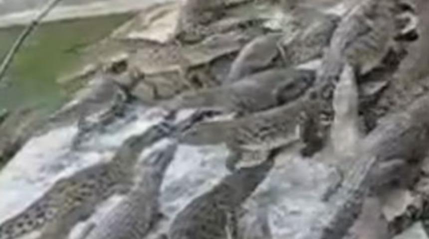 Rus turistlerin eğlencesi k&ouml;t&uuml; bitti