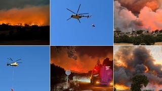 Uşak'taki orman yangını 40 saat sonra kontrol altına alındı