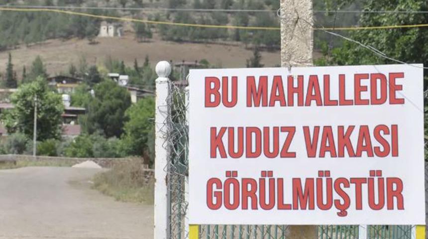 Niğde'de kuduz karantinası! Köpek bir kişiyi ısırdıktan sonra öldü