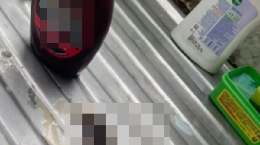 İnternetten sipariş edilen çikolata sosunun içinden ölü fare çıktı! "Fark etmeden önce defalarca kullandık"