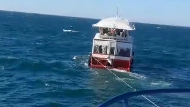 Denizin ortasında... Gezi teknesinde panik anları! Turistler bağırmaya başladı