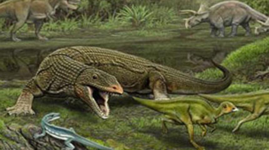 Yeni kertenkele t&uuml;r&uuml;ne bakın ne isim verildi