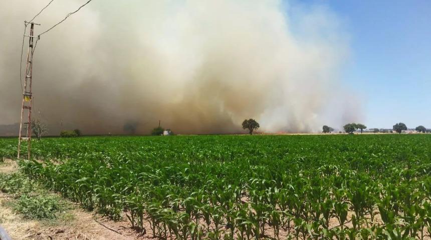 SON DAKİKA | Çanakkale'de orman yangını! Havadan ve karadan müdahale ediliyor