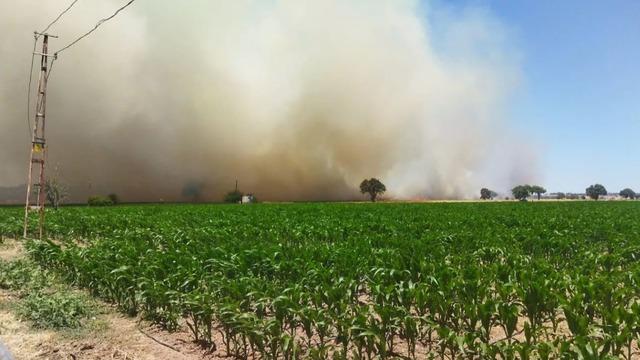 SON DAKİKA | Çanakkale'de orman yangını! Havadan ve karadan müdahale ediliyor