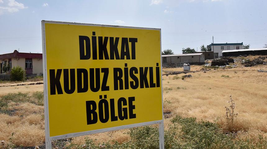 Şanlıurfa'da bir kuduz vakası daha! Mahalle karantinaya alındı