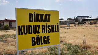 Şanlıurfa'da bir kuduz vakası daha! Mahalle karantinaya alındı