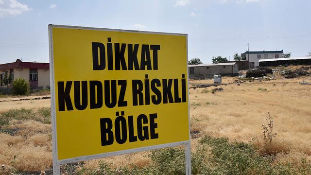 Şanlıurfa'da bir kuduz vakası daha! Mahalle karantinaya alındı