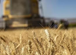 TÜİK açıkladı: Tarımsal girdi fiyatları nisan ayında arttı