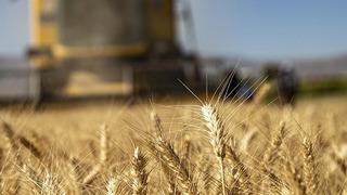 TÜİK açıkladı: Tarımsal girdi fiyatları nisan ayında arttı