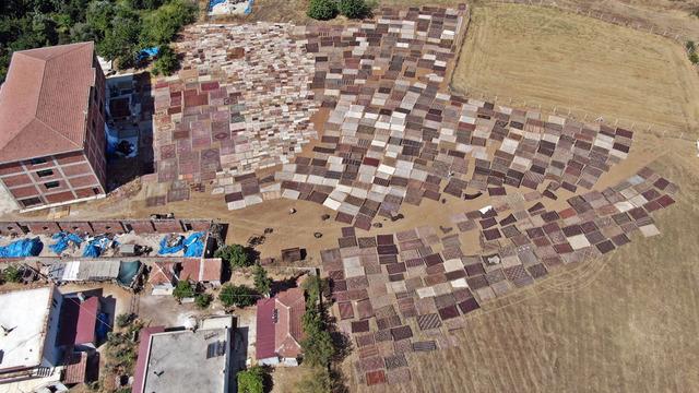 ABD'de binlerce meraklısı var! Hepsinin gözü bu tarlada... Çok hızlı satılıyor