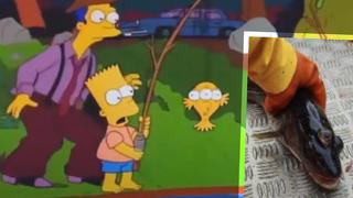 Simpsonlar'ın kehaneti çok konuşuldu! 1990'lardaki bölümdeki üç gözlü balık keşfi gerçek oldu... Simpsonlar yine bildi