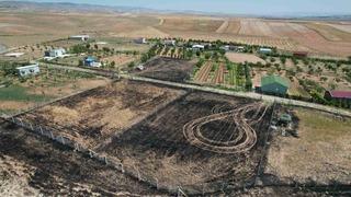 Hobi bahçesindeki yılan için az kalsın köyü yakıyorlardı