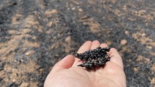 Diyarbakır ve Mardin'deki yangında bilanço ağırlaştı: 12 kişi hayatını kaybetti