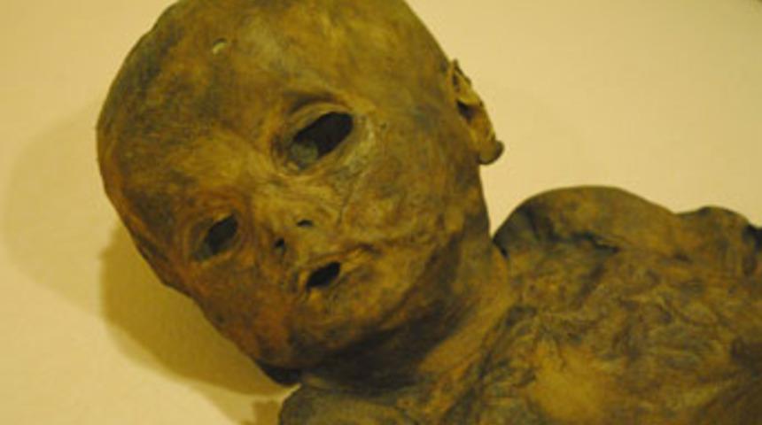 1,5 yaşında mumyalanmış