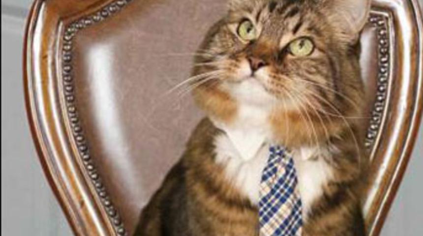 Virginia&rsquo;nın senat&ouml;r adayı