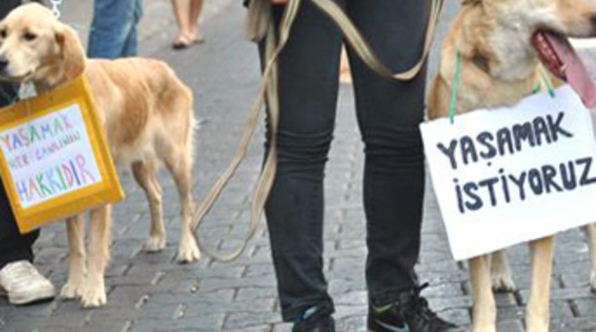 'Hayvanları Koruma'da geri adım yok