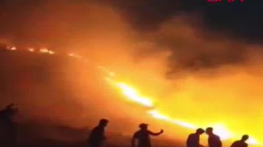 Mardin'de yangın! Rüzgarla hızla yayıldı