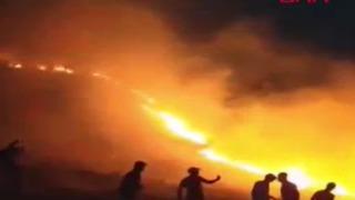 Mardin'de yangın! Rüzgarla hızla yayıldı